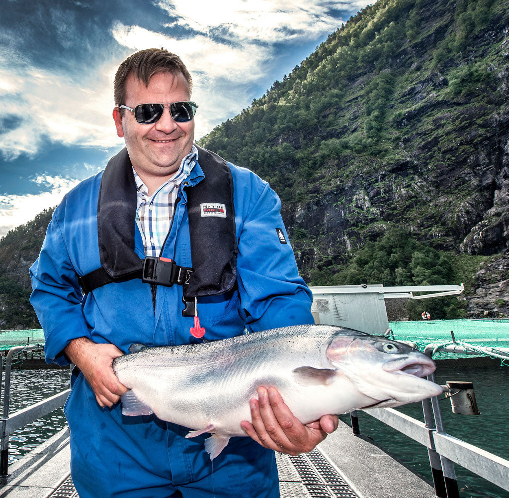How Sustainable Fishing Practices Help