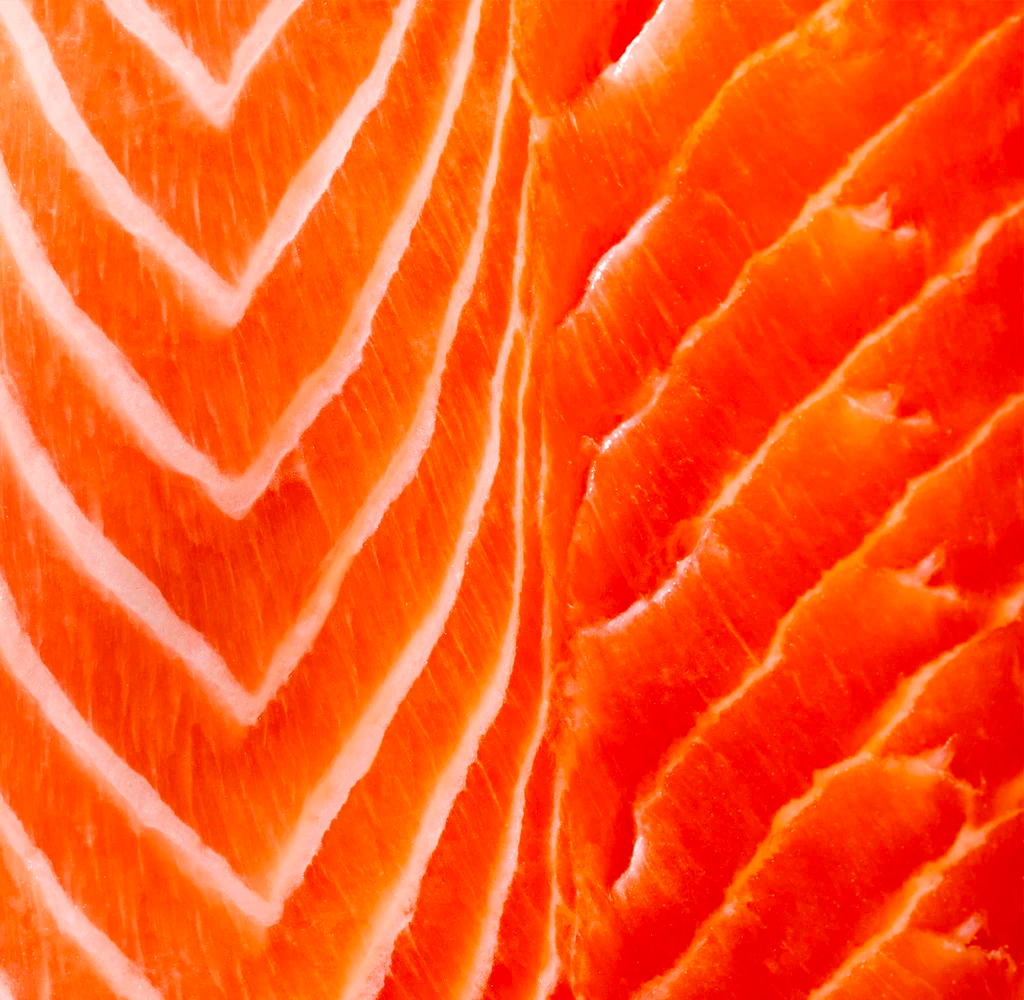The 4 Most Nutrient-Dense Seafoods