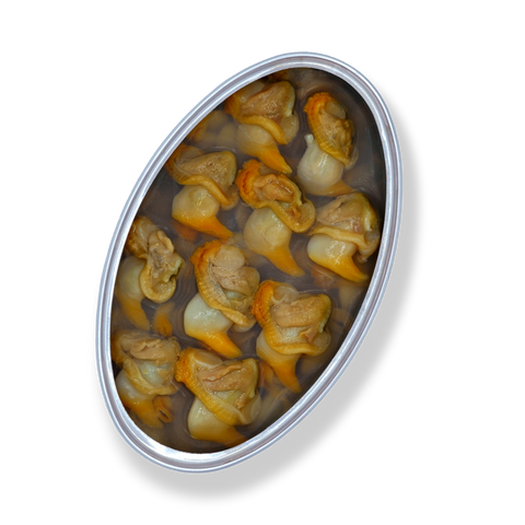 Cockle Clams in Brine